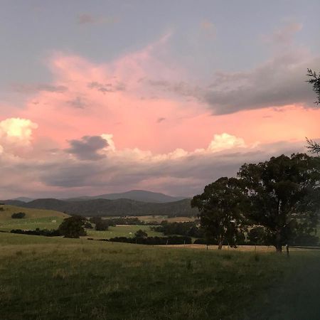 The Studio - Yarra Valley Yarra Glen Zewnętrze zdjęcie