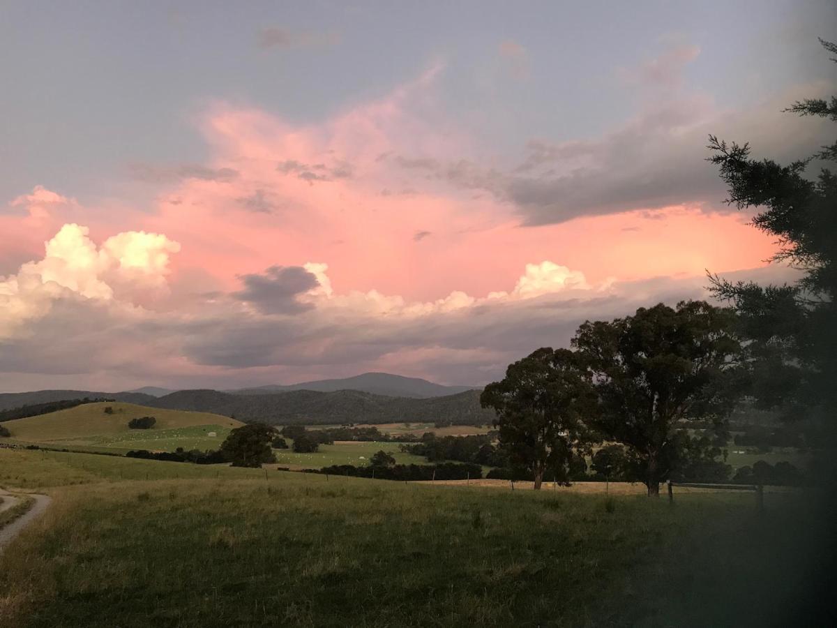 The Studio - Yarra Valley Yarra Glen Zewnętrze zdjęcie