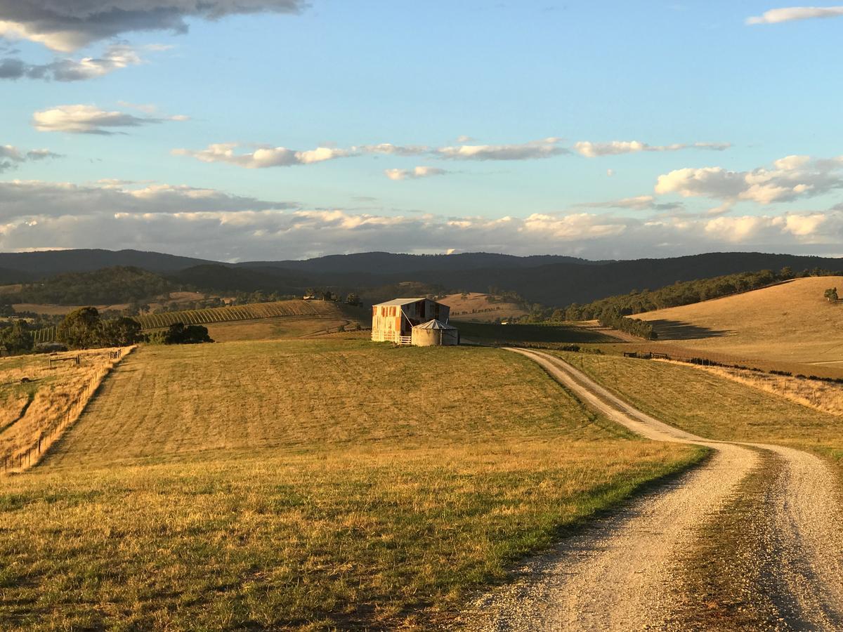 The Studio - Yarra Valley Yarra Glen Zewnętrze zdjęcie